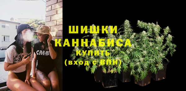 гидропоника Мегион