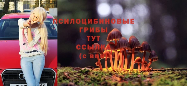 тгк Магас
