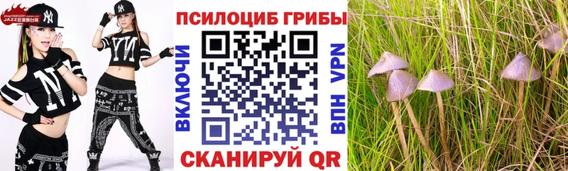 Галлюциногенные грибы Psilocybine cubensis  Яблоновский 